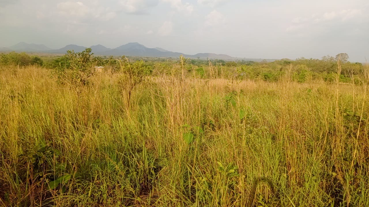 Ansicht des zukünftigen Campus-Geländes