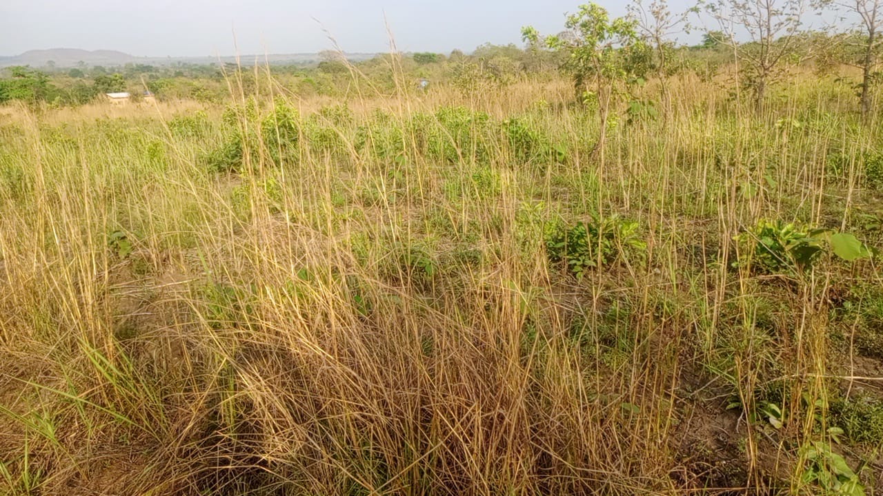 Ansicht des zukünftigen Campus-Geländes